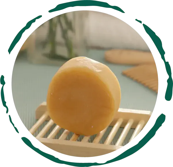 EcoPure Citrus Conditioner Bar - Natural and Nourishing TrueForm Goods