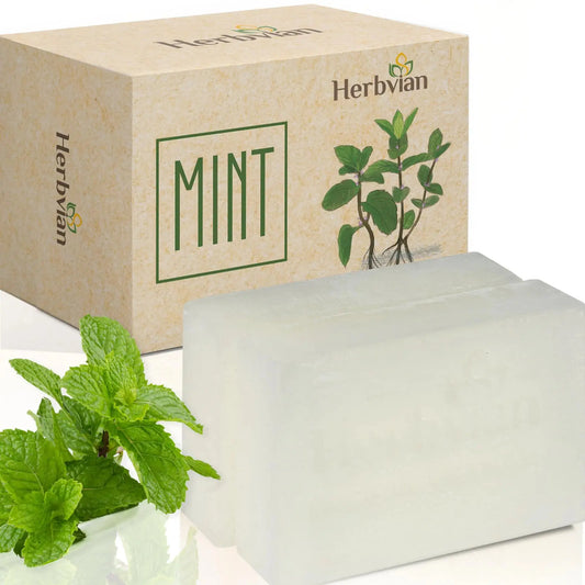 Mint Mentha Refresh Soap Duo TrueForm Goods